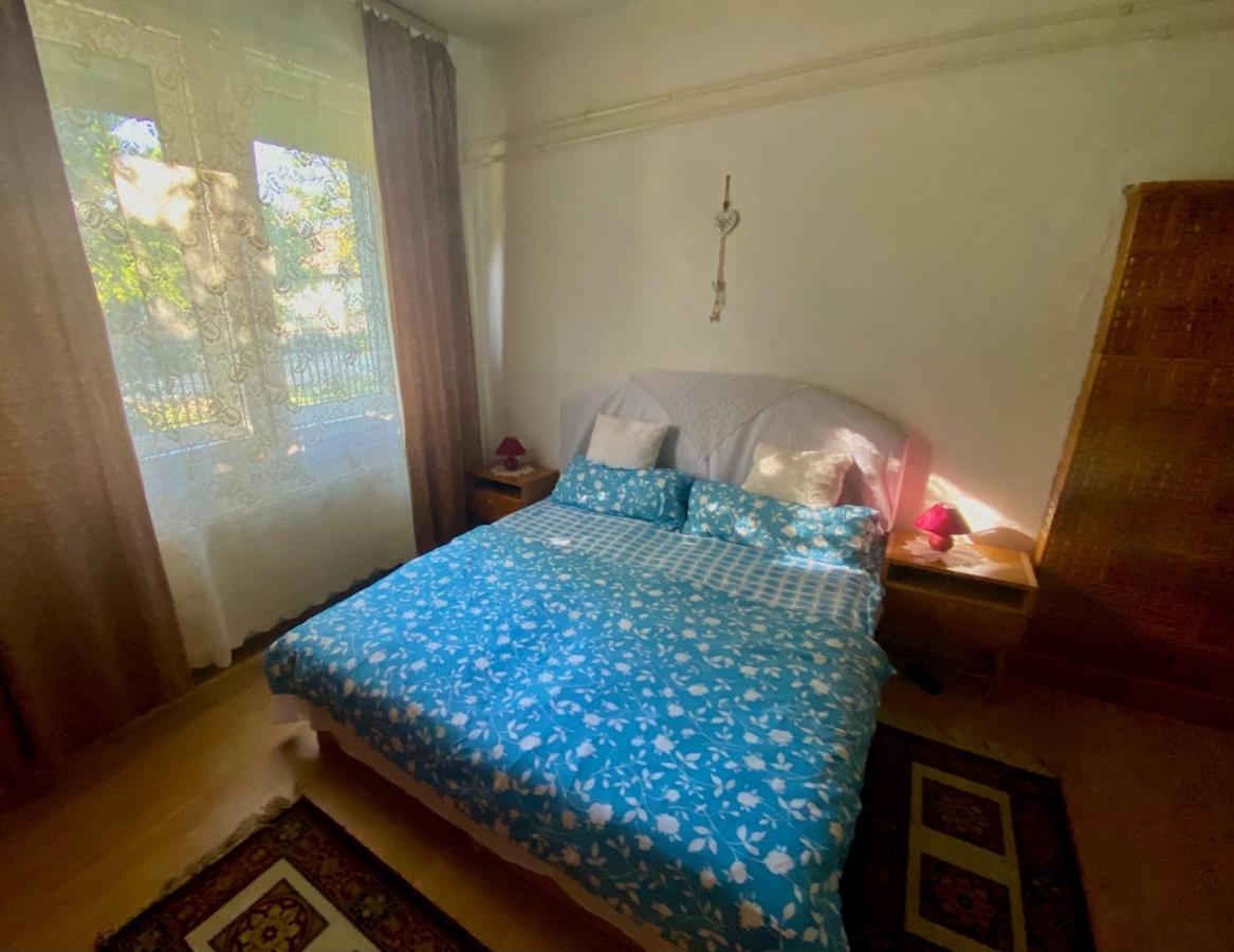 Grany'S Retro Guesthouse Near Budapest Airport Vecsés Buitenkant foto