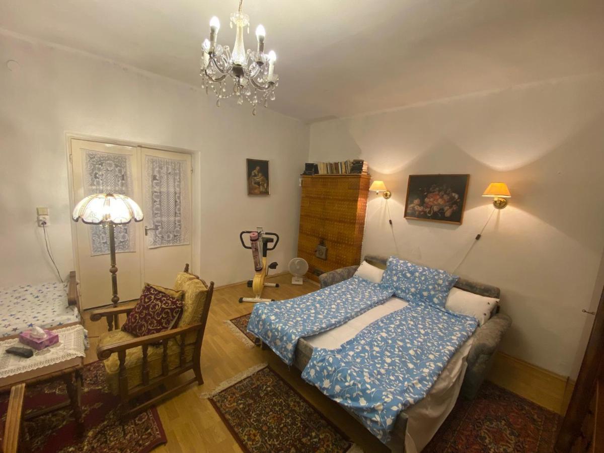 Grany'S Retro Guesthouse Near Budapest Airport Vecsés Buitenkant foto
